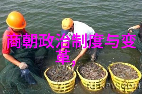 明清两朝生活对比穷困的共同命运与差异