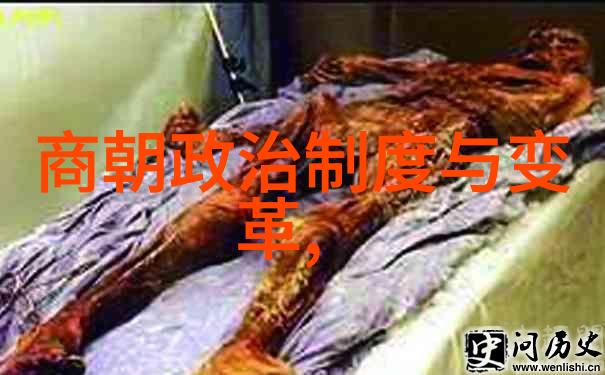 明朝血脉图揭秘皇家谱系与权力传承