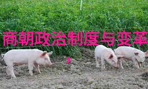 明朝有趣的历史故事100龙凤呈祥的奇缘