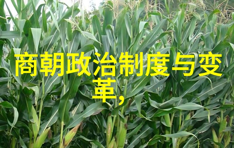 电子书阅读技巧大汇总如何更好地欣赏明朝那些事儿