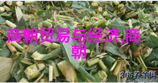 为什么明朝很诡异知乎中国历史上的明朝深邃面纱与背后的复杂故事
