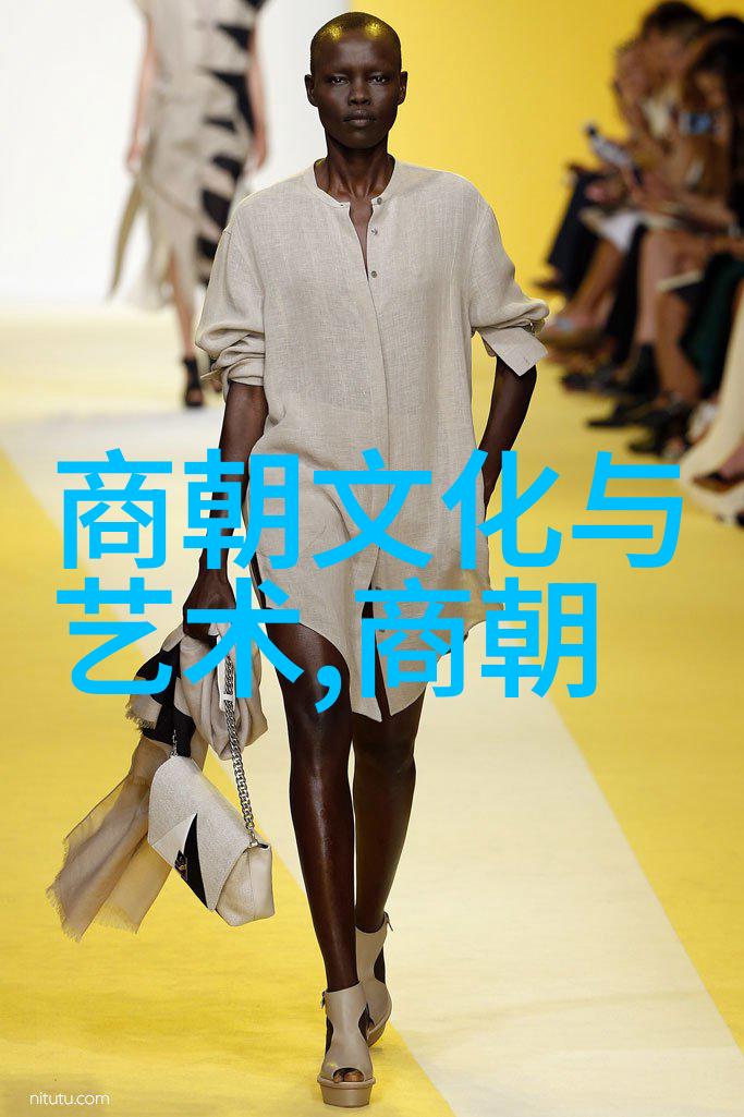 探秘明朝风云解读PDF电子书中的历史精华