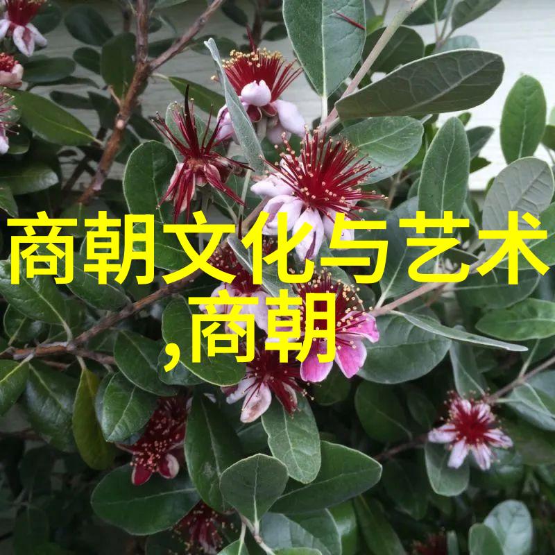 江南沦陷南宋的衰落与遗存