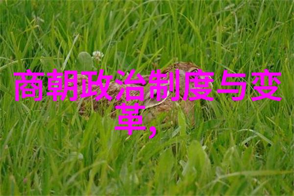 中国历史上的三大衰弱朝代战乱与衰落的篇章