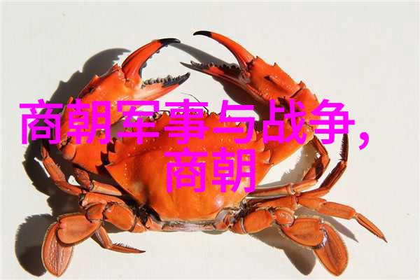 龙城沉默万历四十九年之谜