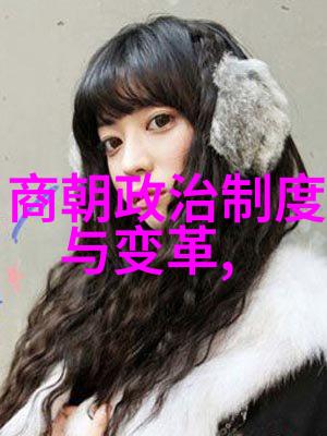 历史探讨-元朝征服与文化融合外族入侵还是民族统一的视角
