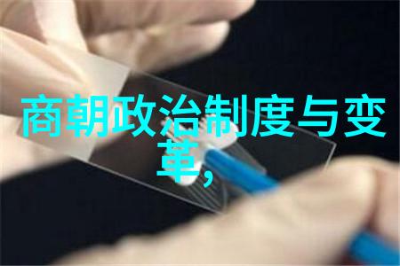 康熙雍正之争明清时期皇位继承权的斗争