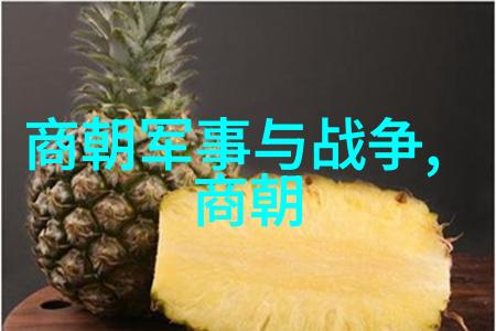大明风华孙若微身边的丫鬟宫廷生活中的细节与情感