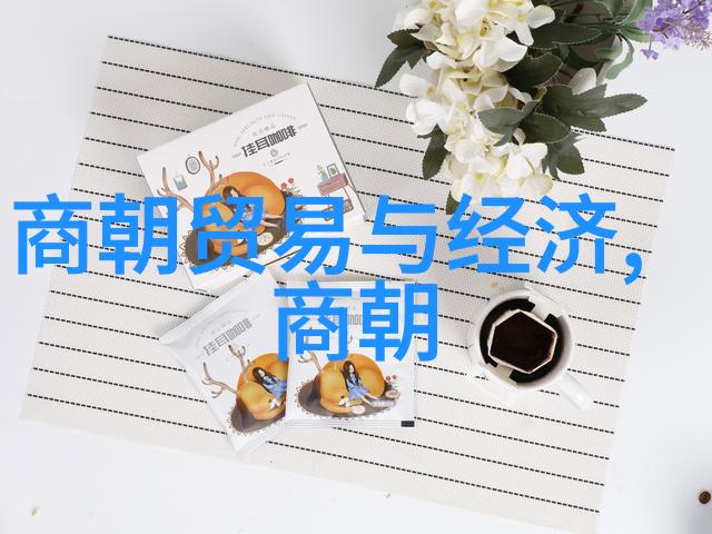 揭秘中国历史文化从黄河文明到现代华夏探索千年传承的丰富内涵