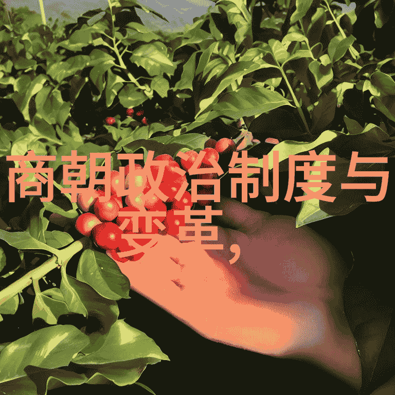 乾隆合葬的5个女人皇帝的秘密花园中那些不为人知的佳人行列