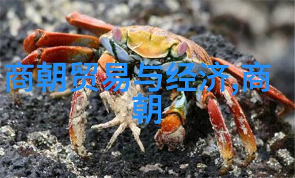 红色的故事我的火焰岁月一段滥情史
