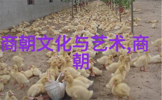 历史疑问-岳飞之死与靖康之耻一个未解之谜