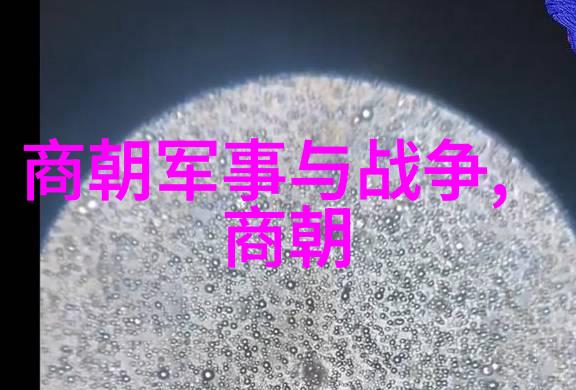 朱元璋明朝开国皇帝的统治风格
