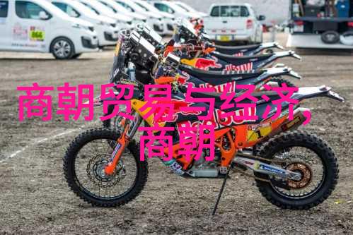 隋朝开国皇帝隋文帝杨坚关右之地久闻其名拥有一批子嗣有几个儿子呢