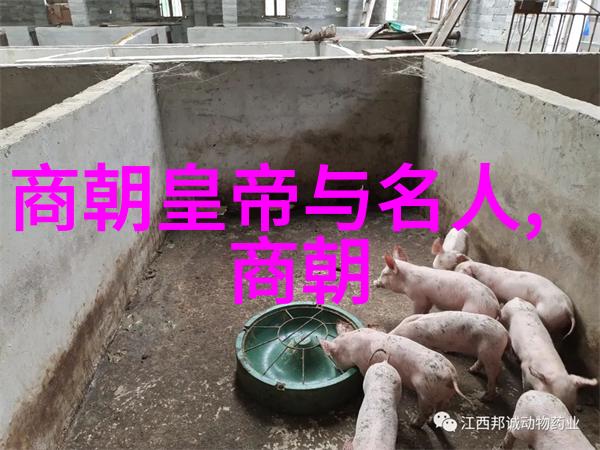 南朝辉煌梁陈两代的盛世与衰落