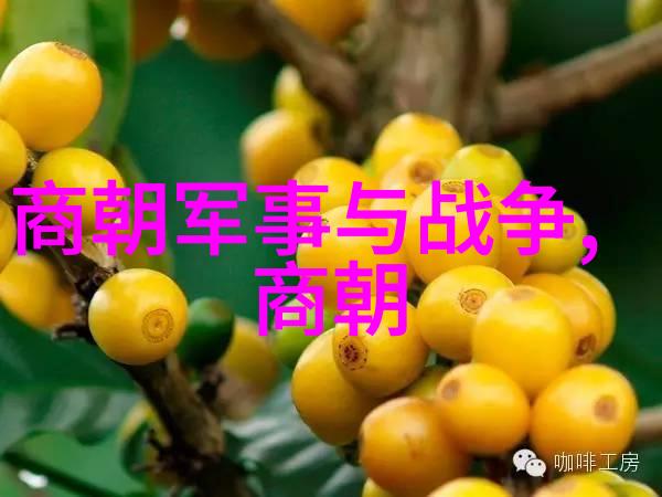 24朝代顺序表口诀历史上的24个朝代时间顺序学习助手