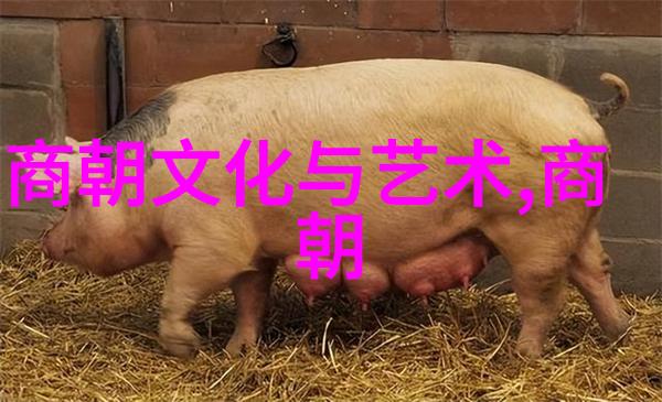 金戈铁马下的锦衣卫
