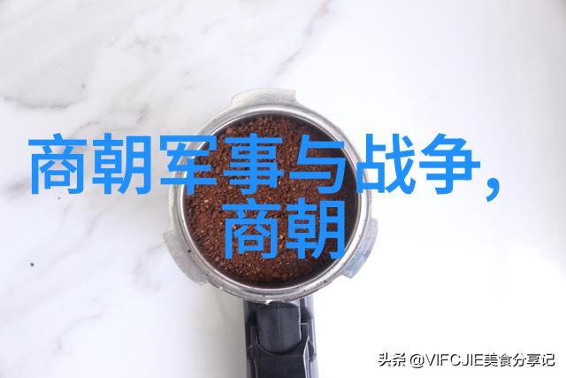元朝介绍-蒙古帝国的兴衰一个以汗国为中心的历史探索