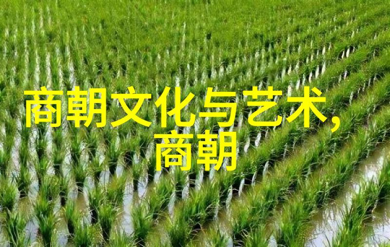 在历史的长河中他是如何悄无声息地改变了时代的