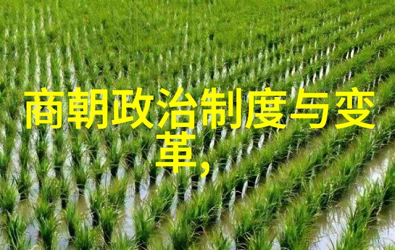 杨永树京剧票友名段演唱会集锦