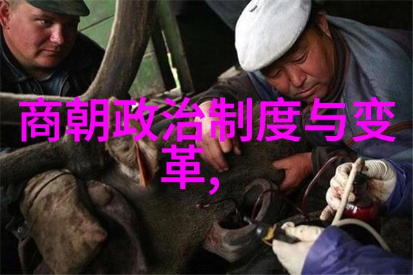 北宋时期王安石变法的风暴