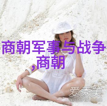 明朝盛世与衰落史话