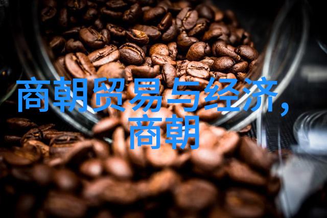 南明灭亡后遗留的微型政权现象研究探索在清初时期的小朝廷生存策略与社会影响
