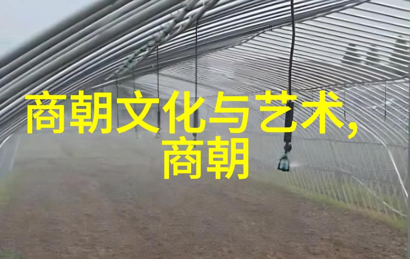 南朝的主要历史大事件-梁元帝天监政变与对外战争