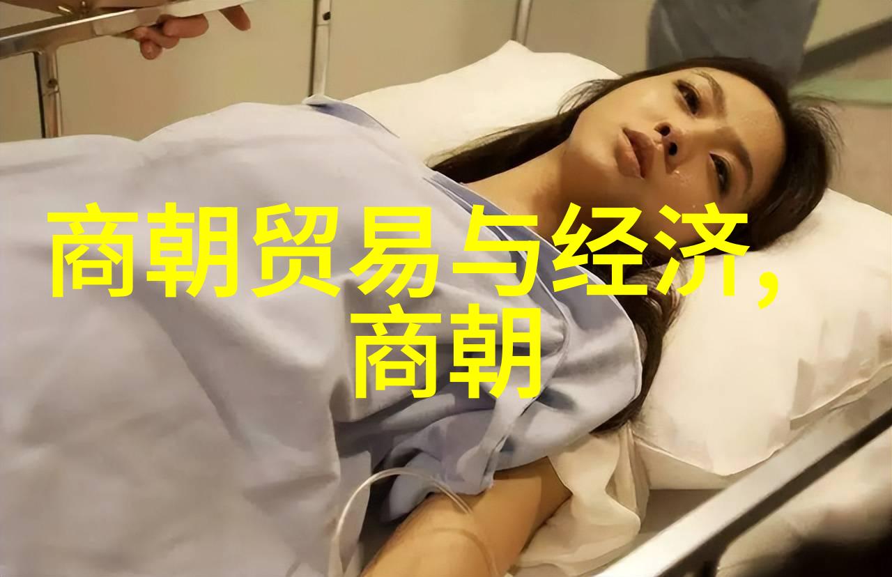 揭秘历史真相纪录片档案的探寻之旅