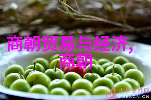 明朝那些事儿名人书评历史风云下的学者品味