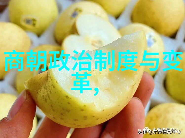 txt格式的明朝那些事探索万历十五年的盛世与衰败