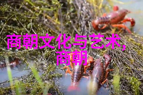 血腥皇帝揭秘历史上最残暴的统治者
