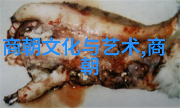 南宋江山录