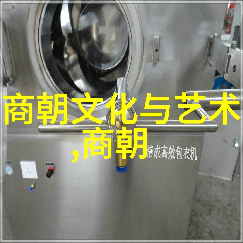 家族遗传与环境因素解析朱棣后人的短寿现象