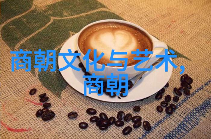 文明与文化-探索文明与文化的奥秘历史价值观和多样性
