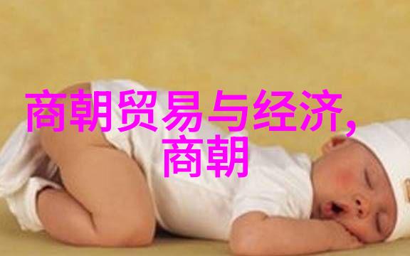 明朝史话精编揭秘700字的时代印记