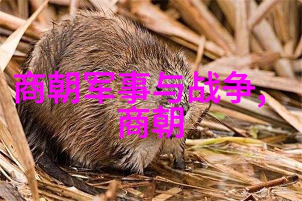 明朝的排列顺序-明代皇帝继承体系与宫廷贵族等级划分