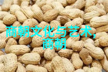 历史人物-乾隆帝子嗣的命运 皇位继承与家族争斗