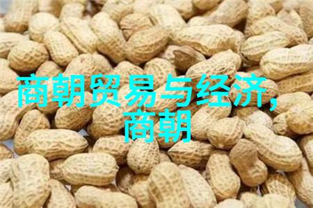 南朝风华梁宋齐之争与隋初统一的历史巨变