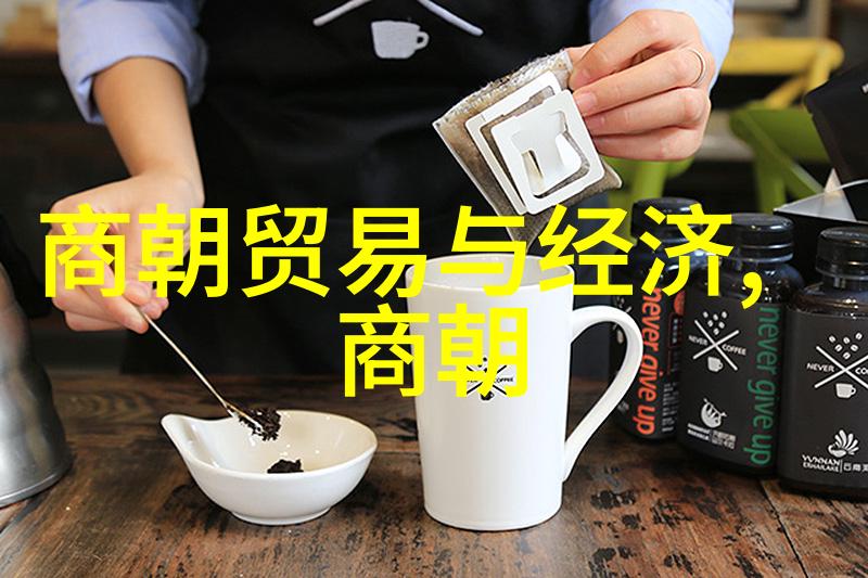 明朝兴衰探无昏君背后的覆灭之谜