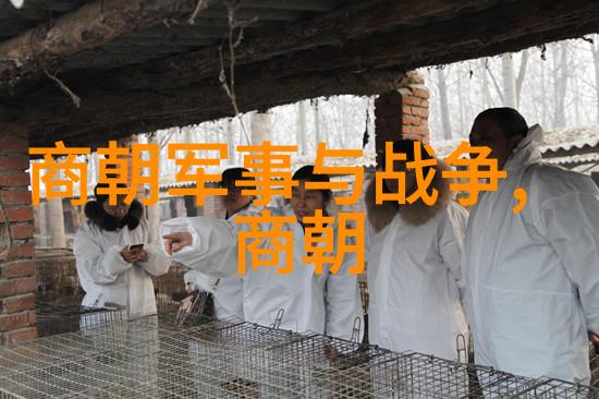 明朝帝王传从神州大帝到坐不住的明君