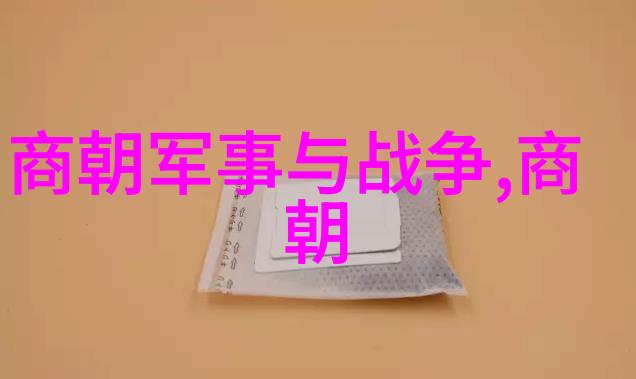 元朝属于外族入侵吗我是不是都听错了元朝真的是外国人打进来的啊