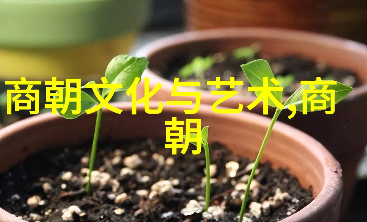 我来讲述明朝的历史地位和影响大吗