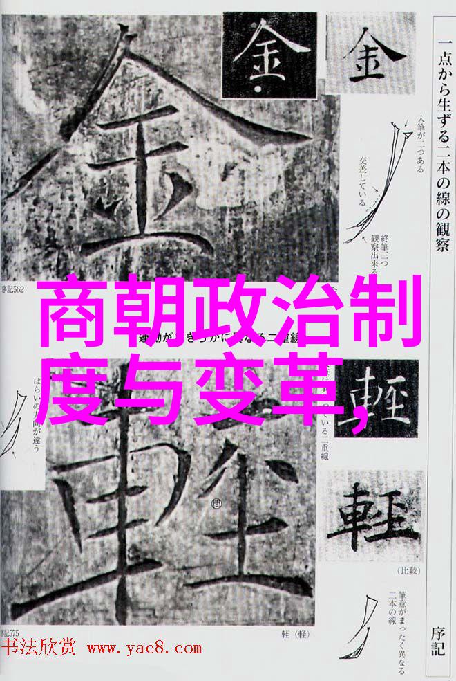 历史探究-元朝征服与融合外族入侵还是文化交融