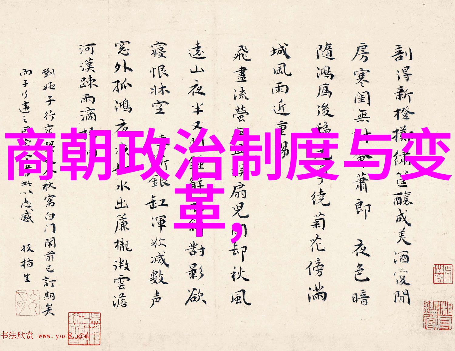 全球零距离的郑苹如像星辰一样璀璨夺目照亮了人间每一个角落