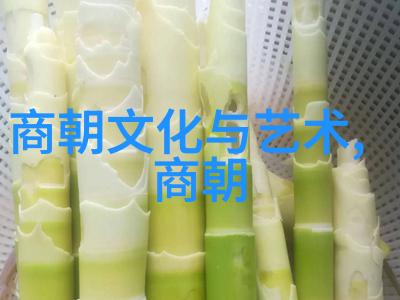 柯亭京剧票友探寻生旦净末丑五彩斑斓的艺术魅力吗