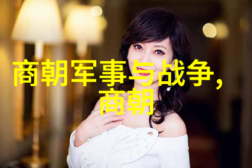 揭秘明朝历史丑化背后的原因误读与刻板印象的根源探究