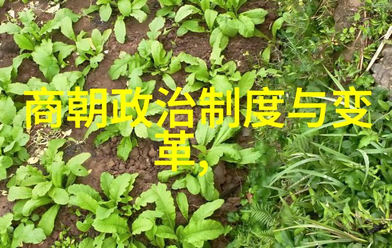 历史朝代顺序表口诀穿梭时空的韵味之旅