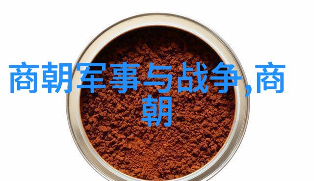 明朝历史讲解视频-穿越时空的镜头揭秘明朝的辉煌与衰落