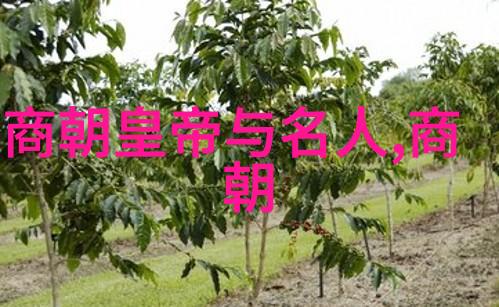 龙椅下的江山h87的权力游戏